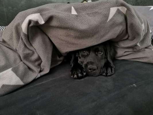 Foto Challange Nr.80-Beitrag-Bild