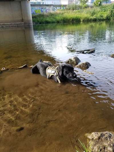 FOTO-Challenge  NR. 91: Die pure Entspannung-Beitrag-Bild