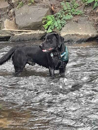 Handy-Foto-Challange Nr.9-Beitrag-Bild