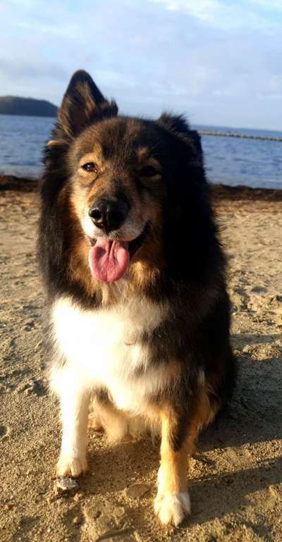 Lieblings Schnappschuss?-Beitrag-Bild