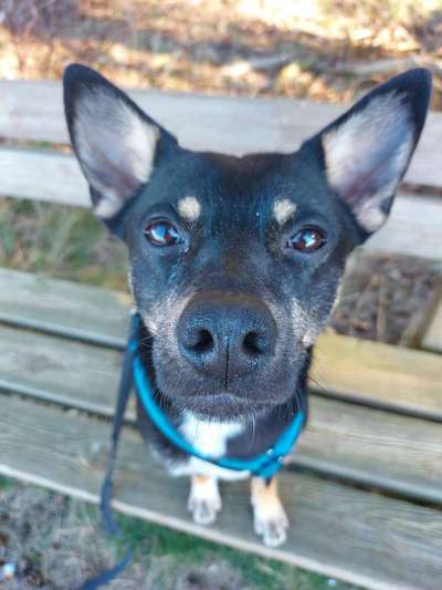 Von oben-Beitrag-Bild