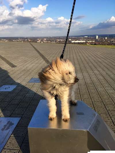 Fotochallenge Nr 50 Vom Winde verweht-Beitrag-Bild