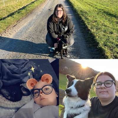 Hundetreffen-Wir suchen ein Wasser Freund/Freundin-Profilbild