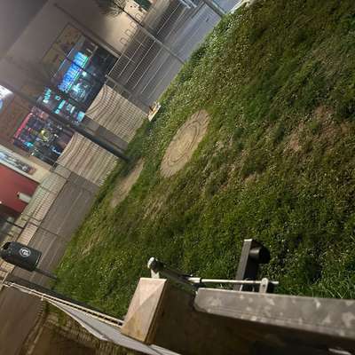 Hundeauslaufgebiet-Hundewiese Hanau am Kino-Bild