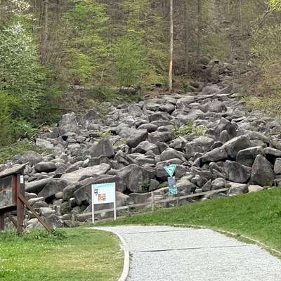 Hundeauslaufgebiet-Felsenmeer-Bild