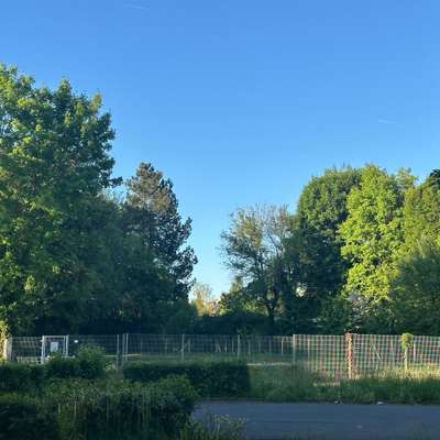 Hundeauslaufgebiet-Bad Königer
Hundespielwiese-Bild