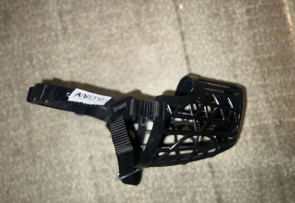 Suche Maulkorb-Beitrag-Bild