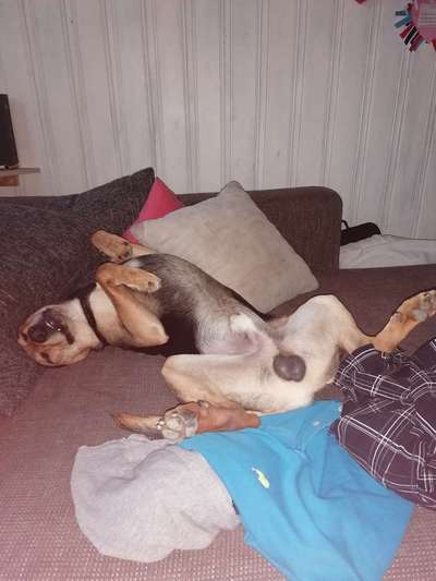 Die unbequemsten und lustigsten Schlafpositionen-Beitrag-Bild