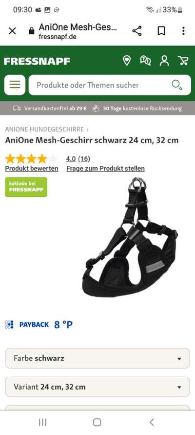 Pomeranian-Beitrag-Bild