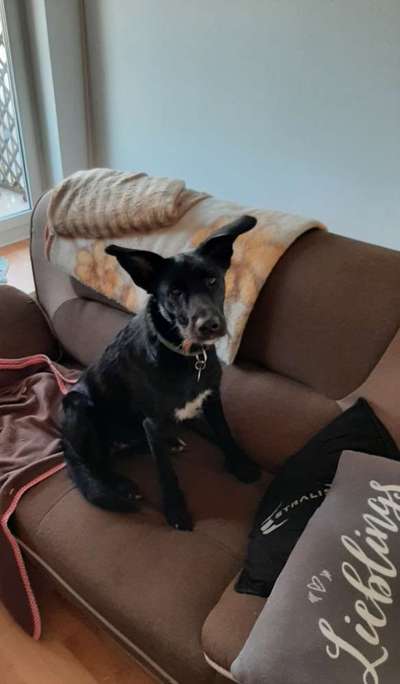 KUSCHEL PARTNER-Beitrag-Bild