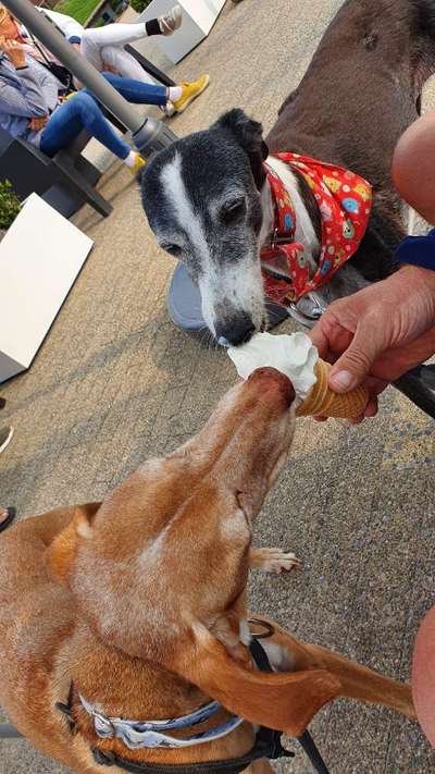 Fotochallenge 37- Sommerfeeling-Beitrag-Bild