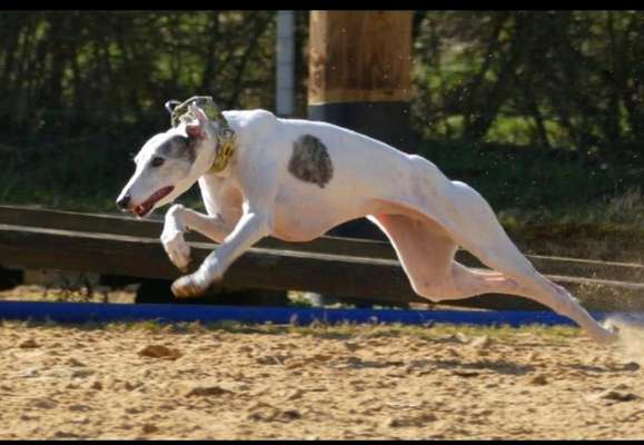 LUSTIGE FOTOS! WER KANN MITHALTEN?-Beitrag-Bild