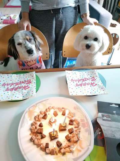 Geburtstagsbilder-Beitrag-Bild