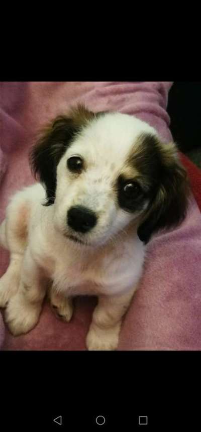 Erstes Bild-Beitrag-Bild