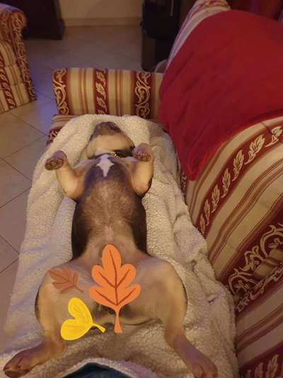 Die unbequemsten und lustigsten Schlafpositionen-Beitrag-Bild