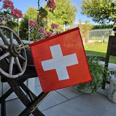 Titelbild Gruppe Hundesitting Schweiz