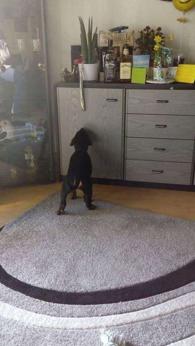 Fotochallenge Nr. 67: Euer Lieblingsbild-Beitrag-Bild