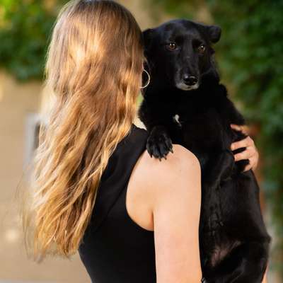 Hundetreffen-Gassirunde (zuerst alle an der Leine, am Ende spielmöglichkeit )