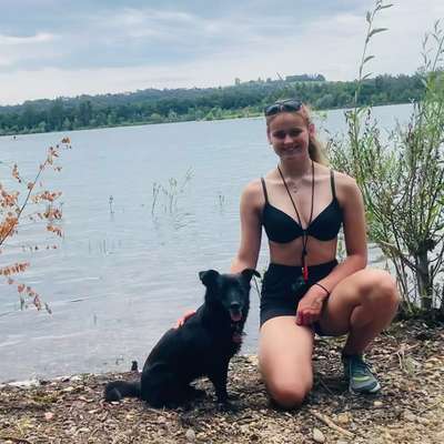 Hundetreffen-Gassirunde (zuerst alle an der Leine, am Ende spielmöglichkeit )