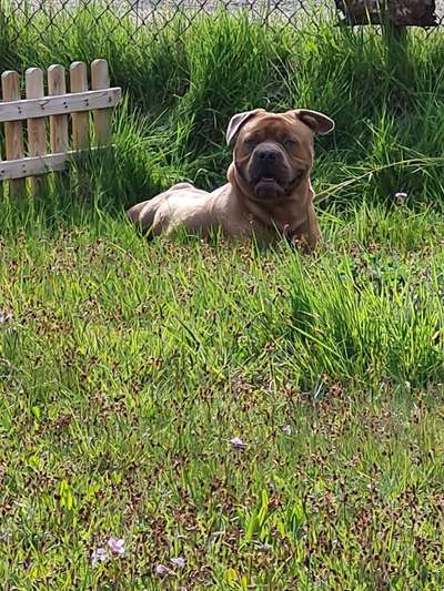 Sie werden so schnell erwachsen ...-Beitrag-Bild