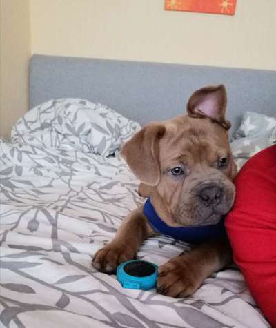 Sie werden so schnell erwachsen ...-Beitrag-Bild