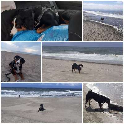 Eure Strandbilder :)-Beitrag-Bild