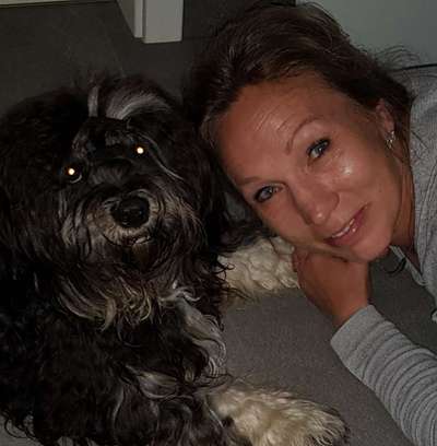 Tibet Terrier-Beitrag-Bild