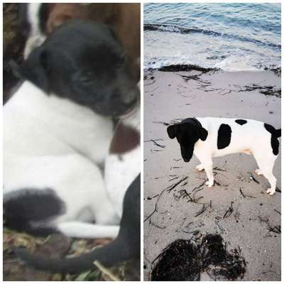 Vorher.... Nachher-Beitrag-Bild