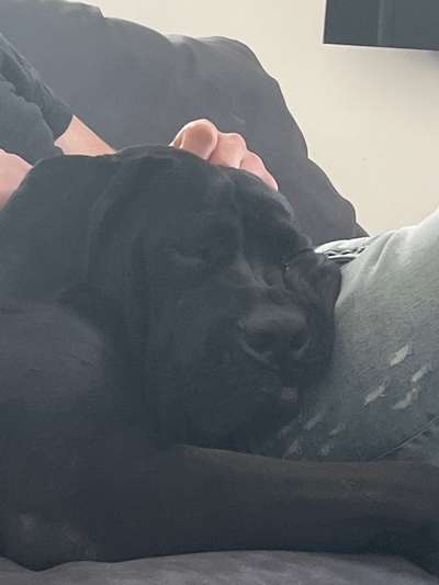 Ratespaß geht weiter-Beitrag-Bild