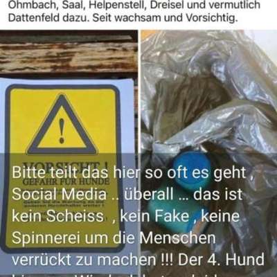 Giftköder-Giftköder in und im Windeck-Bild