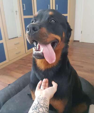 Immer lächeln !-Beitrag-Bild