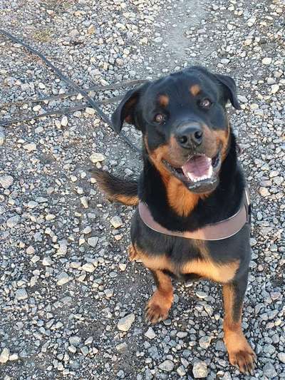 Lieblings Schnappschuss?-Beitrag-Bild