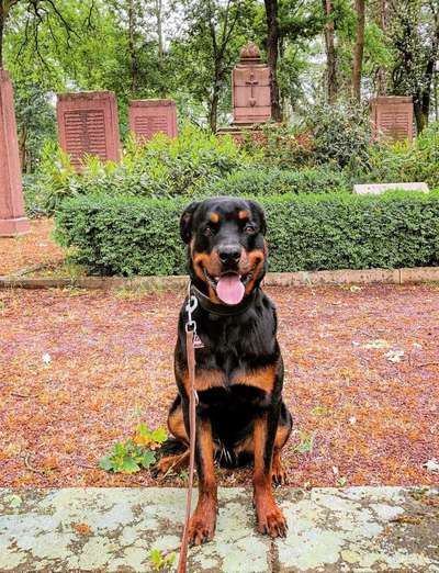 Immer lächeln !-Beitrag-Bild