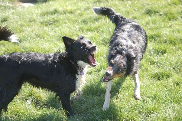 Handy-foto Challange nr. 11-Beitrag-Bild