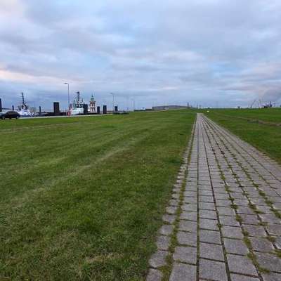 Hundeauslaufgebiet-Pingelturm Bremerhaven-Bild