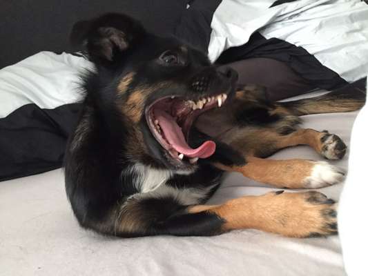 Handyfoto challenge Nr. 13: Waschlappen raus!-Beitrag-Bild