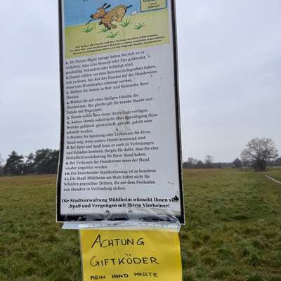 Giftköder-Giftköder an Hundewiese-Bild