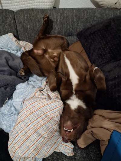 Foto Challenge Nr. 134-Beitrag-Bild