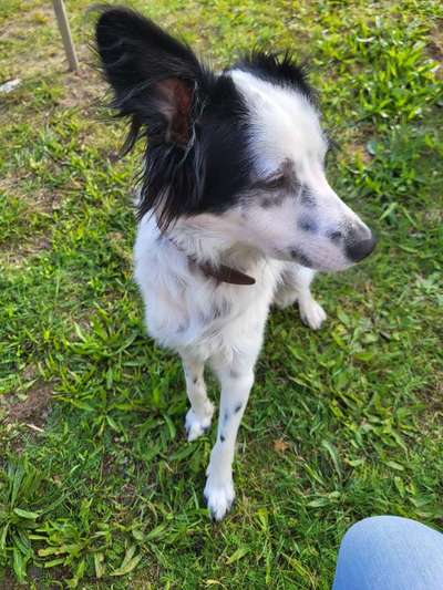 Fotowettbewerb zum Thema "Sonne"-Beitrag-Bild