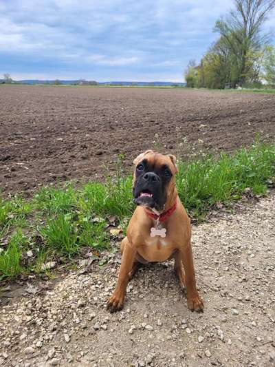 Farben Fotochallenge Sonnenlicht-Beitrag-Bild