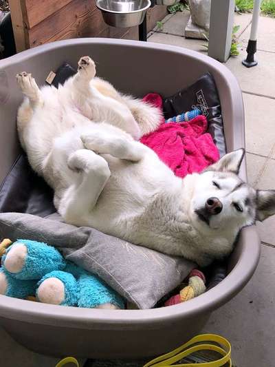 Schlafposition-Beitrag-Bild