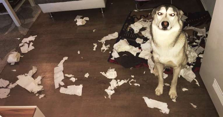 Kissen explodiert-Beitrag-Bild