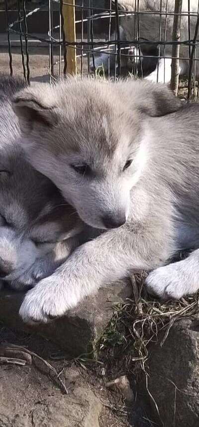 Das erste Foto-Beitrag-Bild