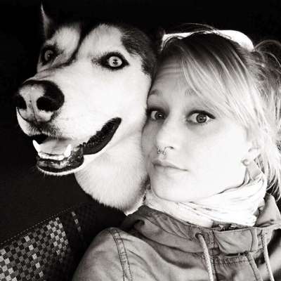 Die Ähnlichkeit zum Hund-Beitrag-Bild