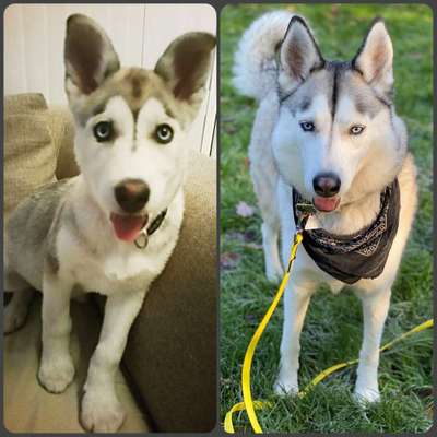 Vorher.... Nachher-Beitrag-Bild