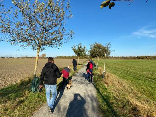 Miniatur Bull Terrier-Beitrag-Bild