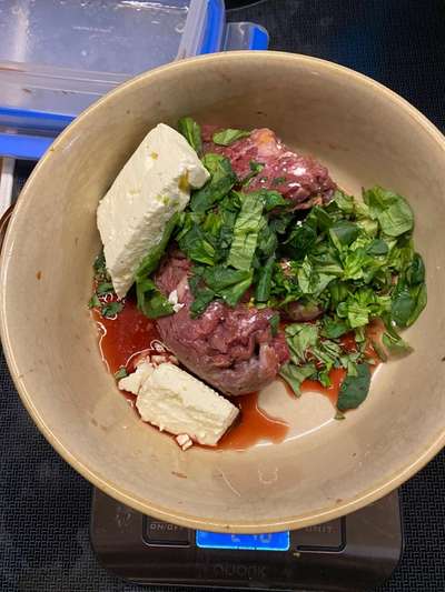 Miniatur Bull Terrier-Beitrag-Bild