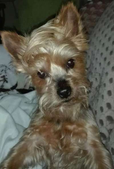 Lieblingsbild-Beitrag-Bild