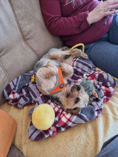 Die unbequemsten und lustigsten Schlafpositionen-Beitrag-Bild