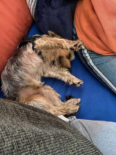 Die unbequemsten und lustigsten Schlafpositionen-Beitrag-Bild